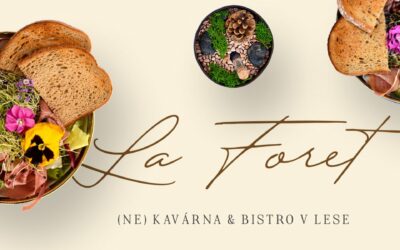 Bistro La Foret: Gastronomický zážitek v srdci jižní Moravy